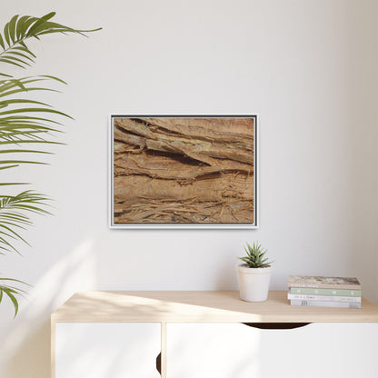 Splintered Bark - Unique Stretched Canvas Wall Art
