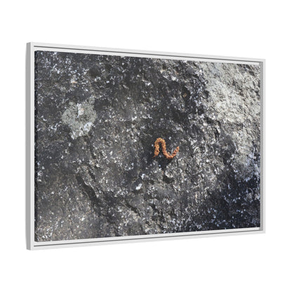 Volcanic Ash and Copper - Unique Stretched Canvas Wall Art