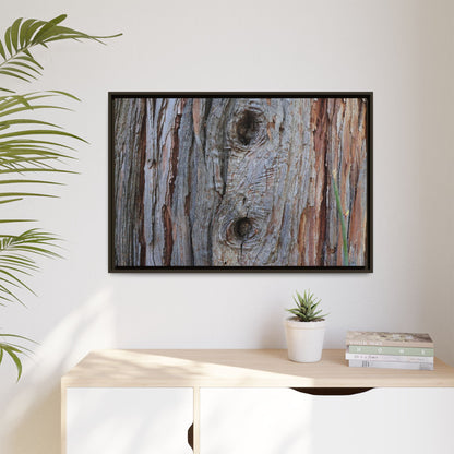 Knotty Nature - Unique Stretched Canvas Wall Art