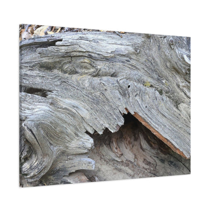 Whispers of Ancient Wood - Unique Frameless Canvas Wall Art