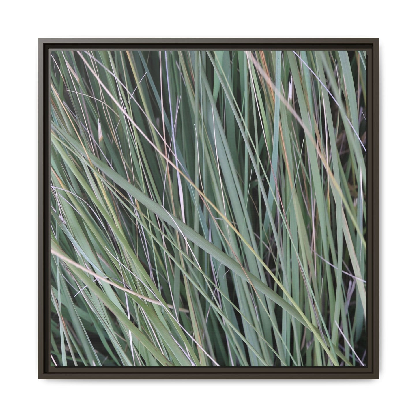 Grassland Symphony - Unique Stretched Canvas Wall Art