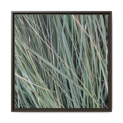 Grassland Symphony - Unique Stretched Canvas Wall Art
