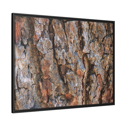 Craggy Textures - Unique Stretched Canvas Wall Art
