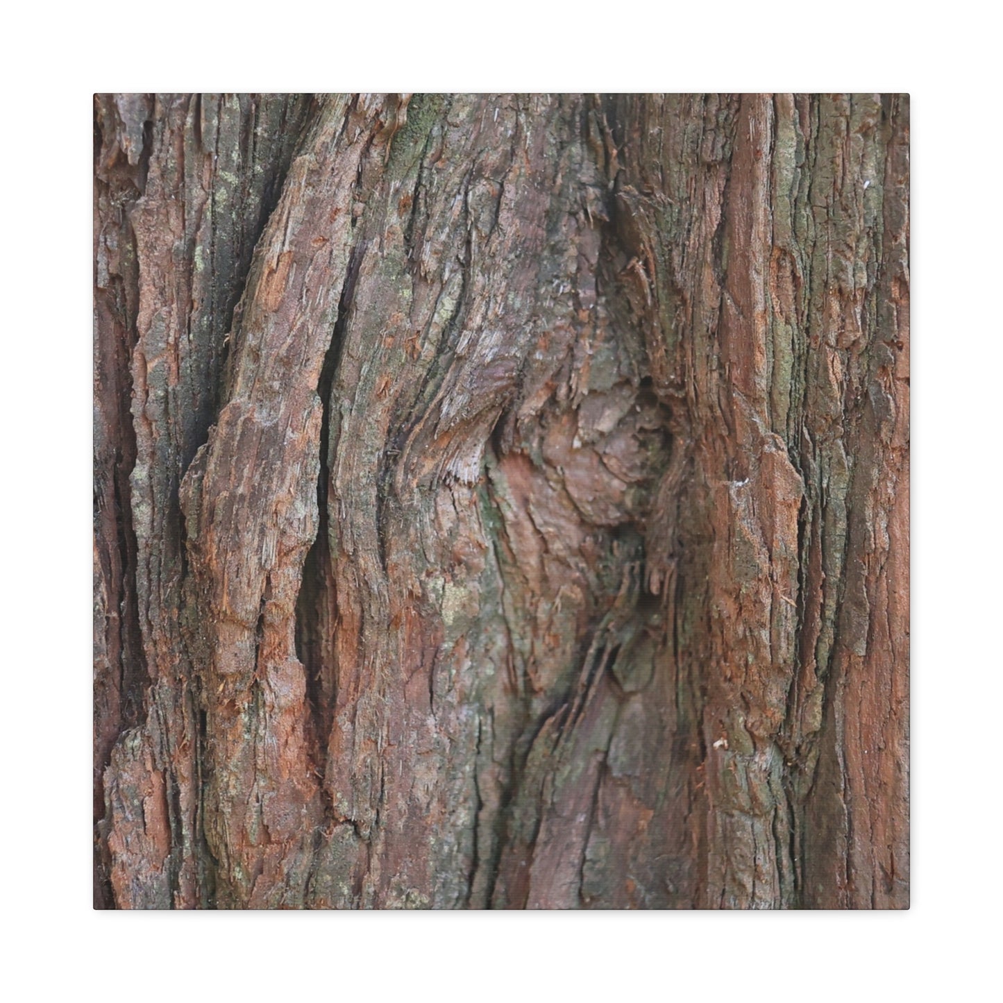Rustic Embrace - Unique Frameless Canvas Wall Art