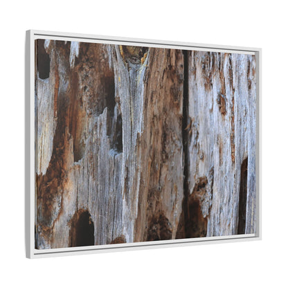 Decaying Splendor - Unique Stretched Canvas Wall Art