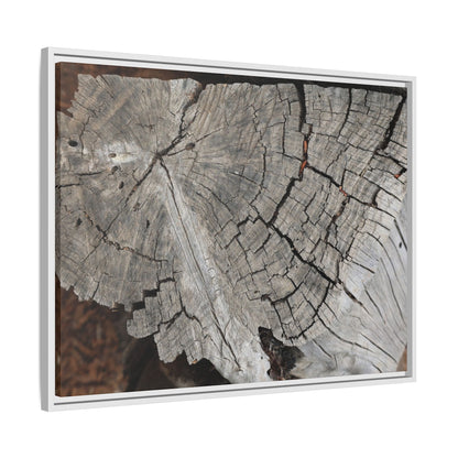 Time's Signature - Unique Stretched Canvas Wall Art