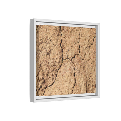 Parched Land - Unique Stretched Canvas Wall Art