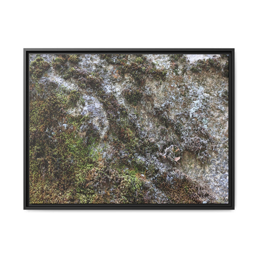 Mossy Whispers - Unique Stretched Canvas Wall Art
