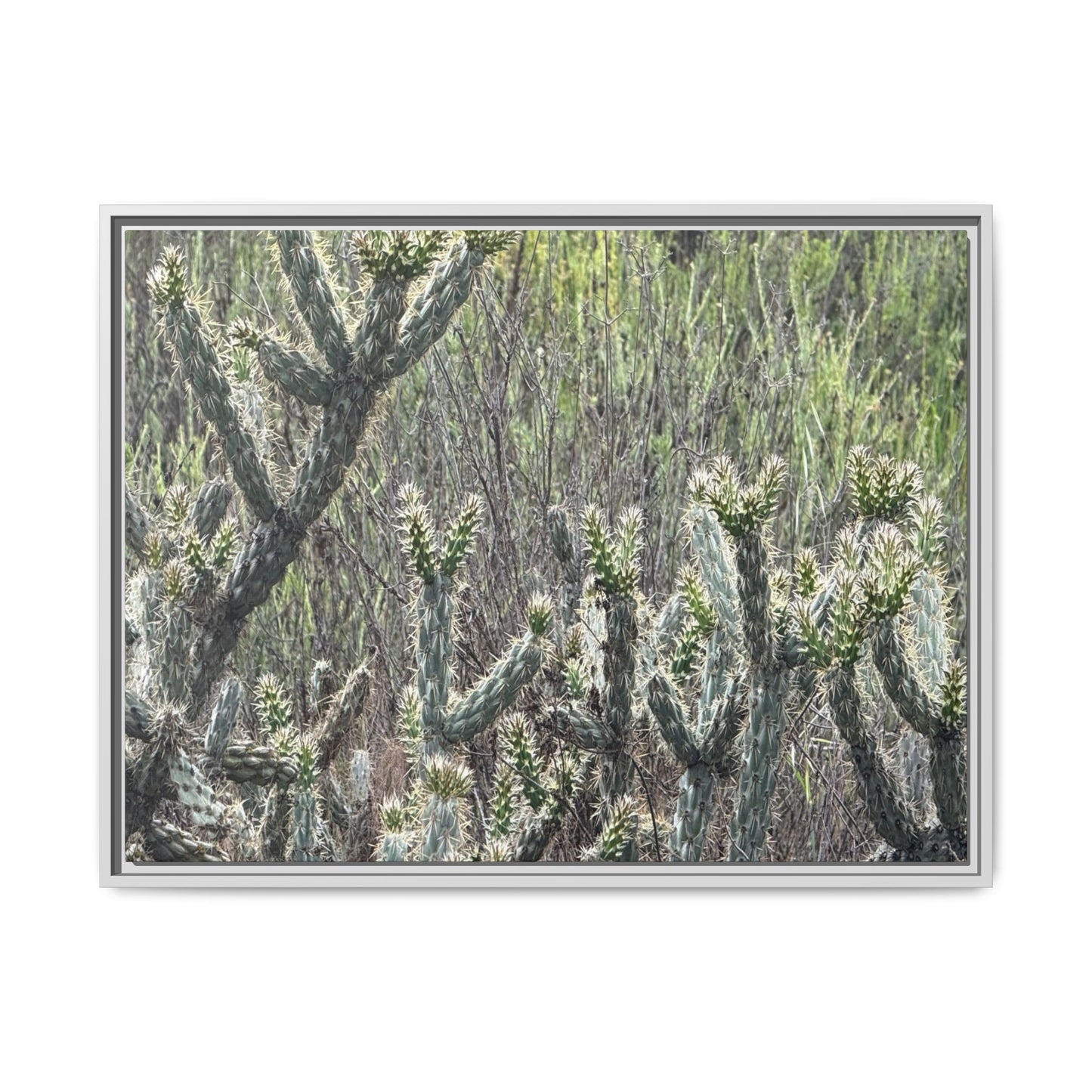 Prickly Paradise - Unique Stretched Canvas Wall Art