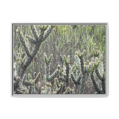 Prickly Paradise - Unique Stretched Canvas Wall Art