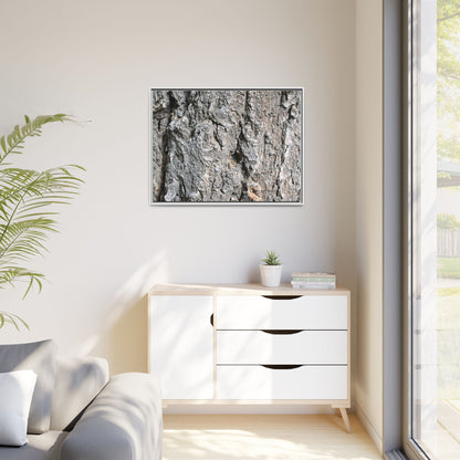 Crusty Exterior - Unique Stretched Canvas Wall Art