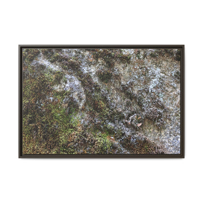 Mossy Whispers - Unique Stretched Canvas Wall Art