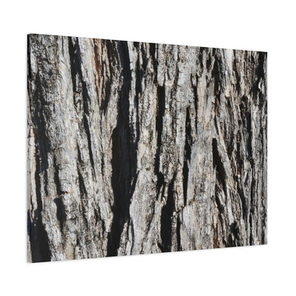 Bark Textures in Monochrome - Unique Frameless Canvas Wall Art