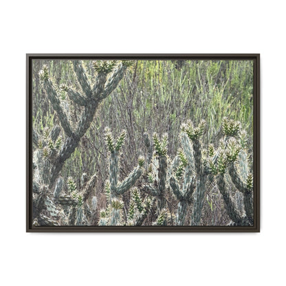 Prickly Paradise - Unique Stretched Canvas Wall Art