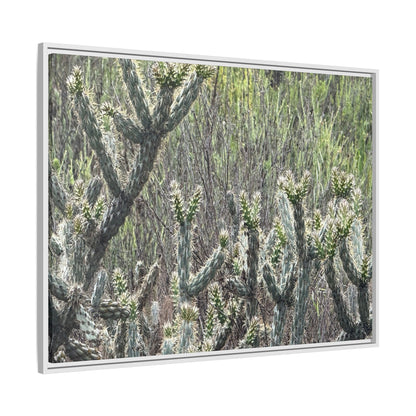 Prickly Paradise - Unique Stretched Canvas Wall Art