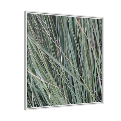 Grassland Symphony - Unique Stretched Canvas Wall Art
