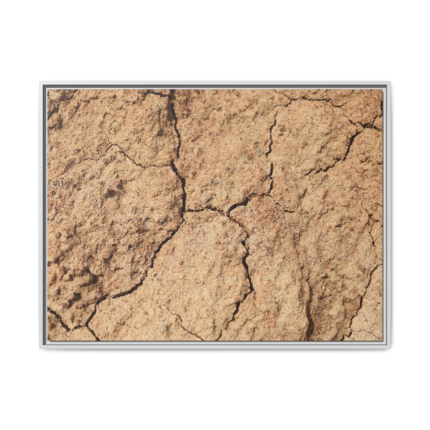Parched Land - Unique Stretched Canvas Wall Art