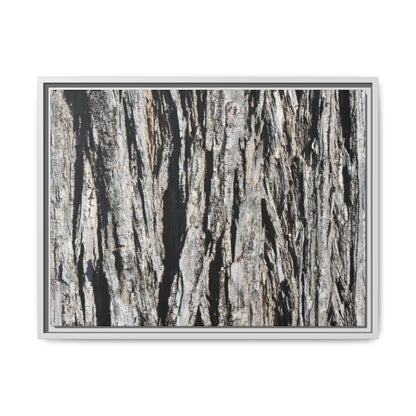 Bark Lines - Unique Stretched Canvas Wall Art