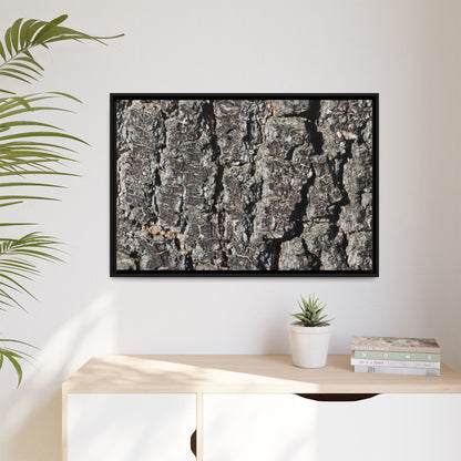 Bark Study in Gray - Unique Stretched Canvas Wall Art