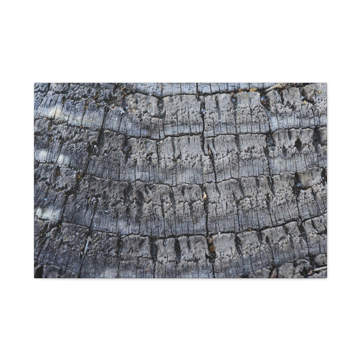 Whispers of Age - Unique Frameless Canvas Wall Art