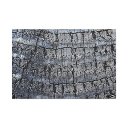 Whispers of Age - Unique Frameless Canvas Wall Art