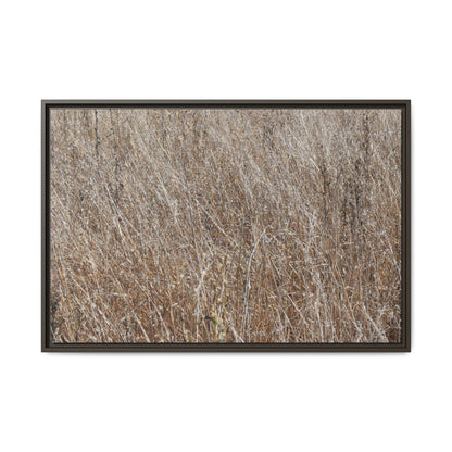 Dry Grass Symphony - Unique Stretched Canvas Wall Art - Art By Earth