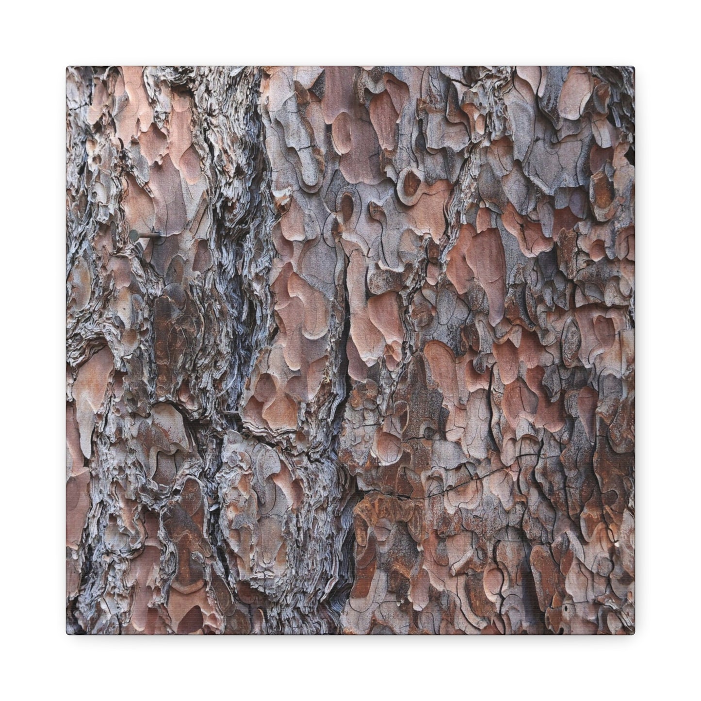 Woodland Armor - Unique Frameless Canvas Wall Art