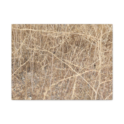 Dry Echoes - Unique Frameless Canvas Wall Art