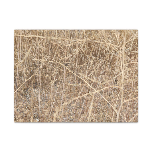 Dry Echoes - Unique Frameless Canvas Wall Art