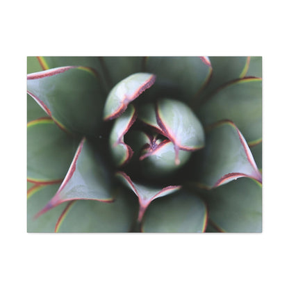 Emerald Spiral - Unique Frameless Canvas Wall Art
