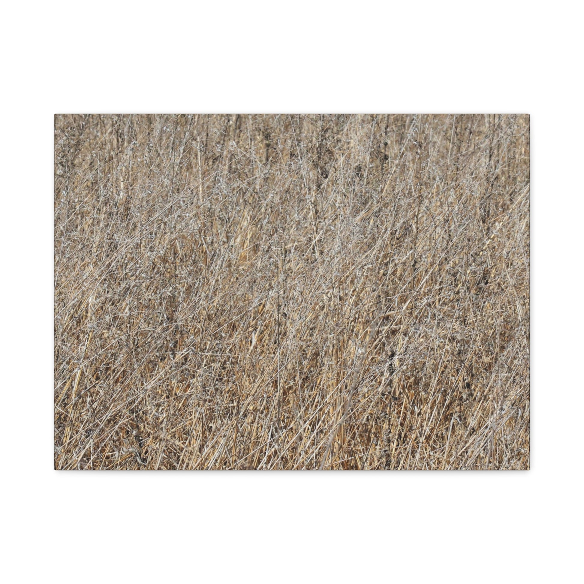 Silent Prairie - Unique Frameless Canvas Wall Art - Art By Earth