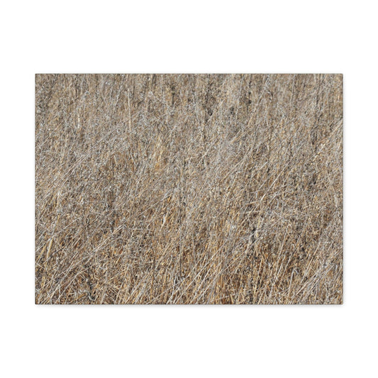 Silent Prairie - Unique Frameless Canvas Wall Art - Art By Earth