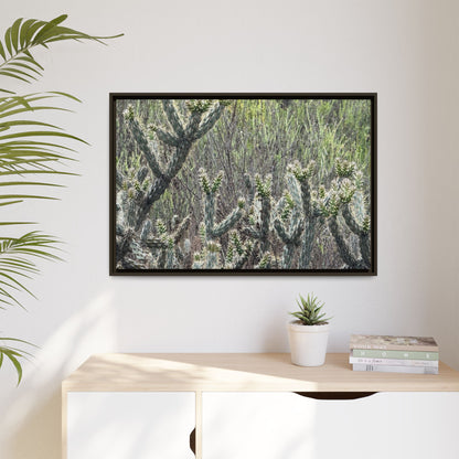 Prickly Paradise - Unique Stretched Canvas Wall Art