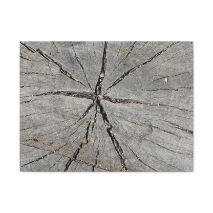 Cracked Chronicle - Unique Frameless Canvas Wall Art