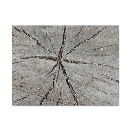 Cracked Chronicle - Unique Frameless Canvas Wall Art