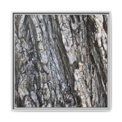 Twisted Textures - Unique Stretched Canvas Wall Art