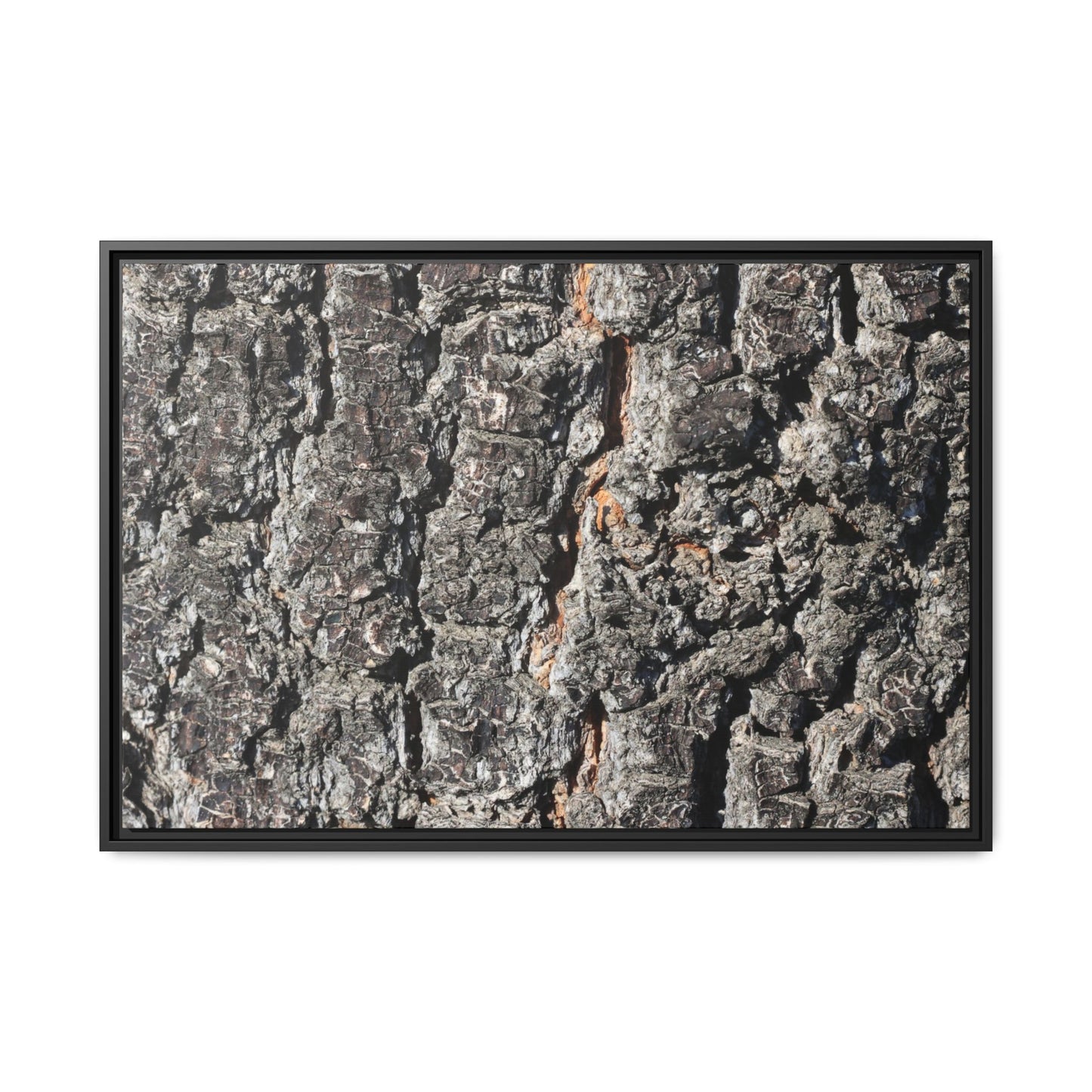 Aged Beauty - Unique Stretched Canvas Wall Art