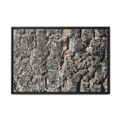 Aged Beauty - Unique Stretched Canvas Wall Art