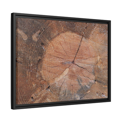 Concentric Memories - Unique Stretched Canvas Wall Art