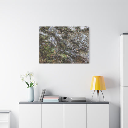 Moss Tapestry - Unique Frameless Canvas Wall Art