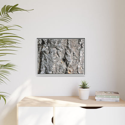 Crusty Exterior - Unique Stretched Canvas Wall Art