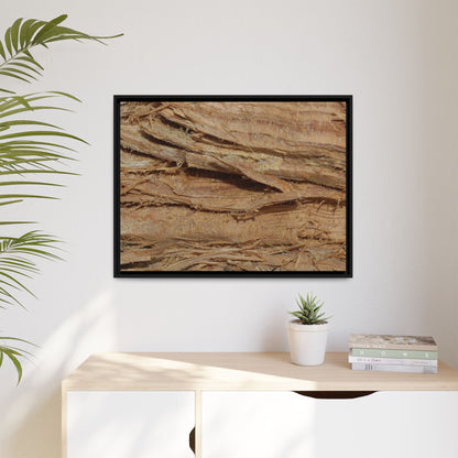 Splintered Bark - Unique Stretched Canvas Wall Art