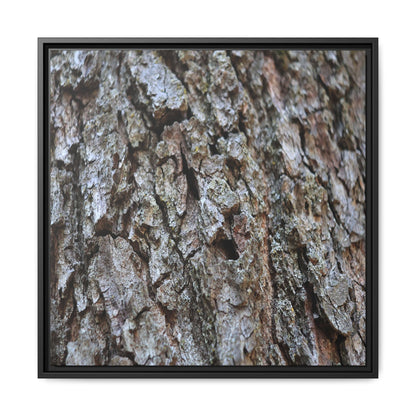 Woodland Canvas - Unique Stretched Canvas Wall Art