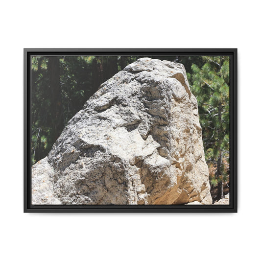 Stone's Silent Whisper - Unique Stretched Canvas Wall Art