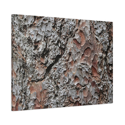 Textured Whispers of Bark - Unique Frameless Canvas Wall Art