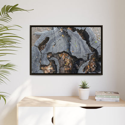 Time's Fractal Memory - Unique Stretched Canvas Wall Art