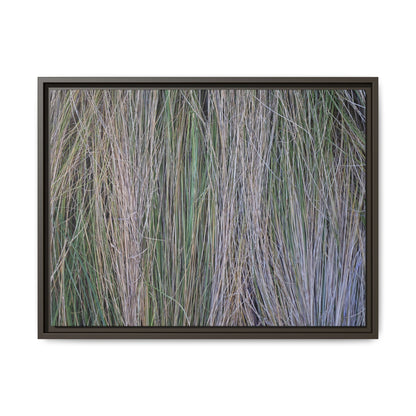 Whispers of Silver Grass - Unique Stretched Canvas Wall Art