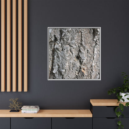 Crusty Exterior - Unique Stretched Canvas Wall Art