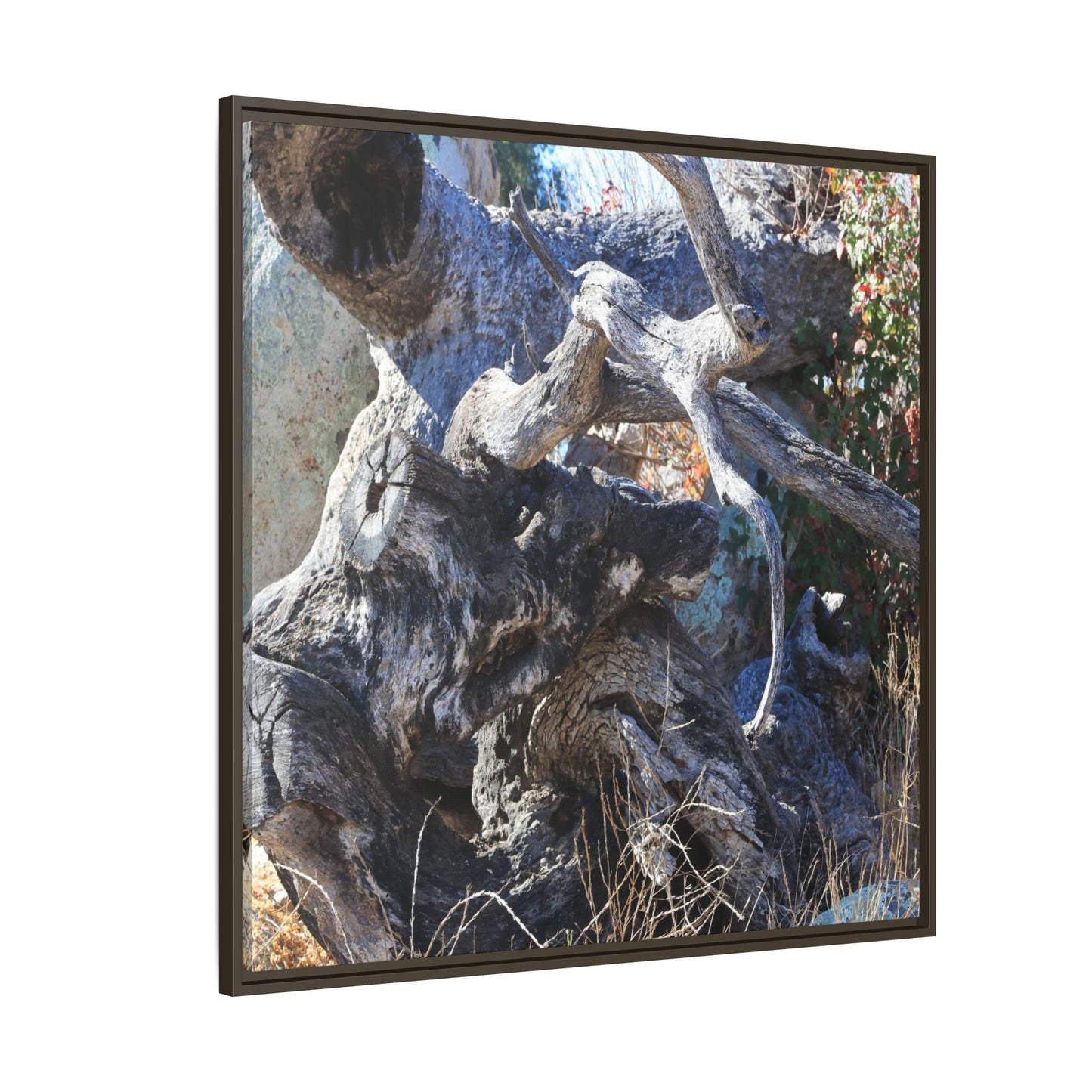 Resilient Roots - Unique Stretched Canvas Wall Art - Art By Earth