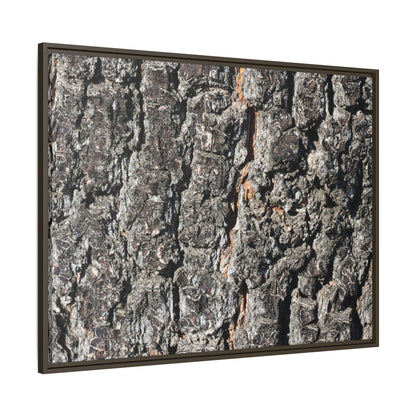 Aged Beauty - Unique Stretched Canvas Wall Art